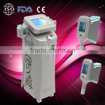 Body Slimming 2014 Bottom Price 2 Specialist Cryolipolysis Hand Pieces Vertical Cryolipolysis Cryotherapy Beauty Machine Reduce Cellulite