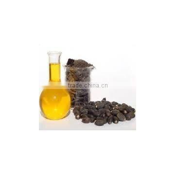 Jatropha oil for biodiesel