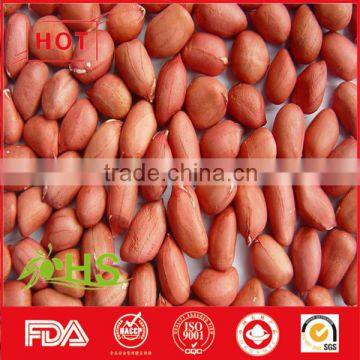 Round/long size red skin peanut kernel