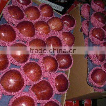2012 Fresh Huaniu Apple