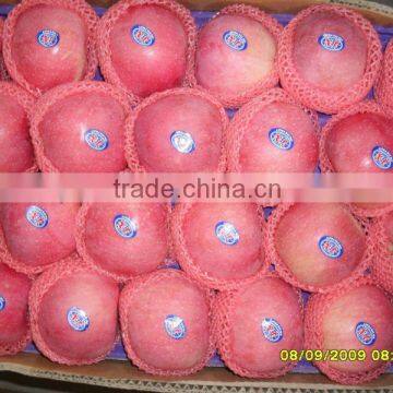 chinese top quality fresh red fuji apple