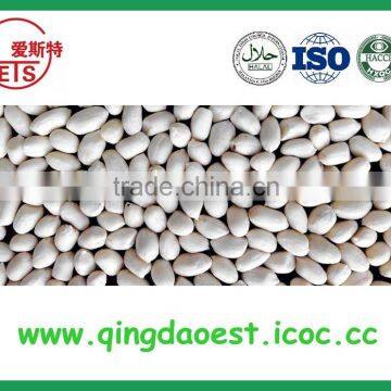 Delicious Nut Snacks Blanched Peanut With High Quality photo-6