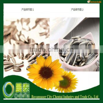 Buy 2013 New Crop Chinese Sunflower seeds For Roasted