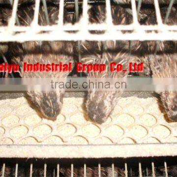 TAIYU Wire Mesh Quail Cage For Sale