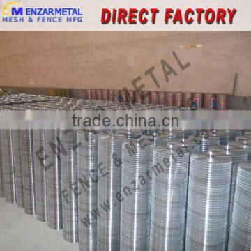 galvanized garden welded wire mesh rolls