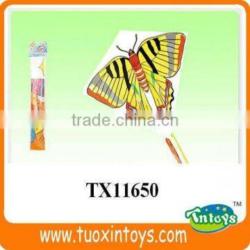 Sport China Airplane Power Kite Surf photo-3