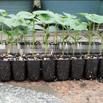 Custom PS Reusable Plastic Plant Seed Starting Grow Trays for Propagation photo-4