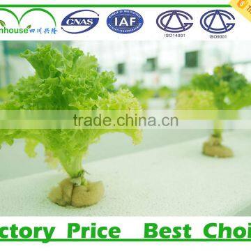 Double Layer Inflation and Film Cover Material Multi Span Prefabricated Greenhouse for Agricultural photo-5
