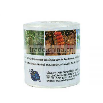 High Quality Polypropylene Banana Twine photo-4