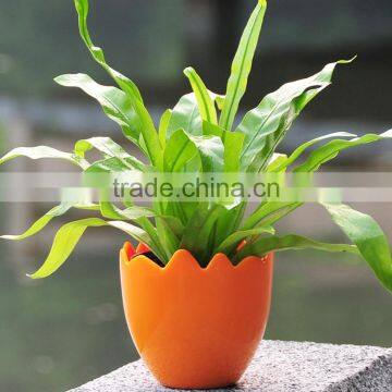 Attractive colorized eggshell shape plastic flower pot