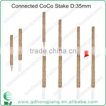 Coir Stake for Climbing Plant Support photo-4