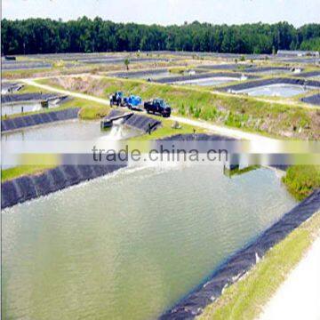 Directly SupplyTextured(Point) Geomembrane From Manufacturer photo-6