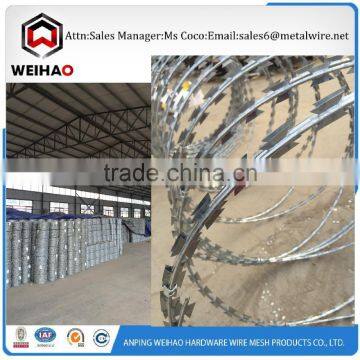 whatsapp 008613731361119 selling good price and quality razor barbed wire razor wire