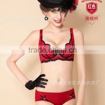 2017 New Design Chinese Manufacturer Custom Women Bras Plus Size Big Bra photo-3