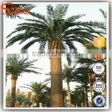 Top Selling Popular Outdoor Artificial Palm Tree For Sale photo-2
