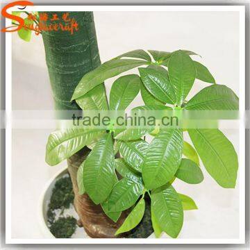 Realistic Mini Bonsai Tree Bonsai Plants for Sale photo-6