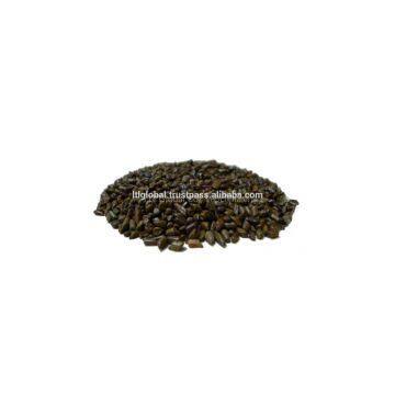BEST PRICE FOR CASSIA SEED WITH GOOD QUALITY photo-2
