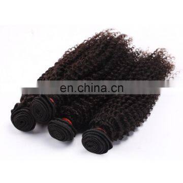 Best Selling Virgin Mongolian Kinky Curly Hair Wholesale Virgin Hair photo-4