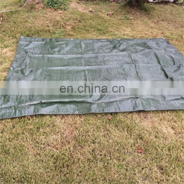 Agriculture pe tarpaulin in package