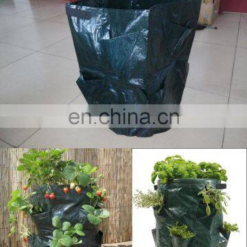 Reusable Herb Potato Strawberry Planting Planter Bags