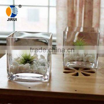 transparent glass flower pot & glass plant pot