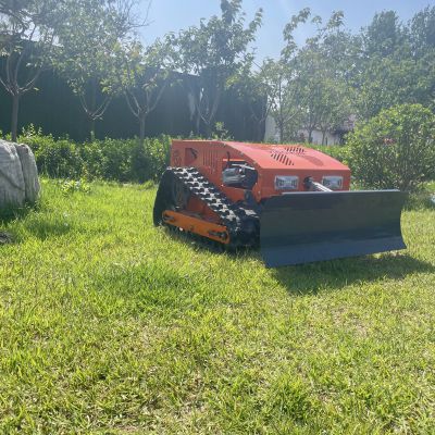 radio controlled weed eater for sale