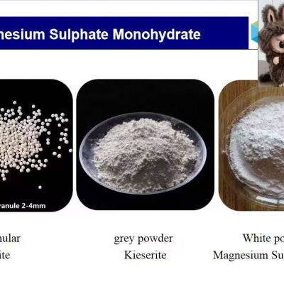 Magnesium Sulphate Monohydrate