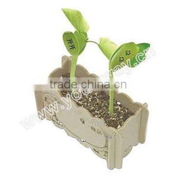 Wooden box,Promotional gift.Magic bean
