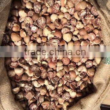 Split Betel Nut (Supari) 85% good cut quality. we are the biggest supplier in Indonesia