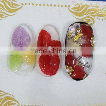 Beautiful Natural Dry Flower for Nail Art Decoration photo-4