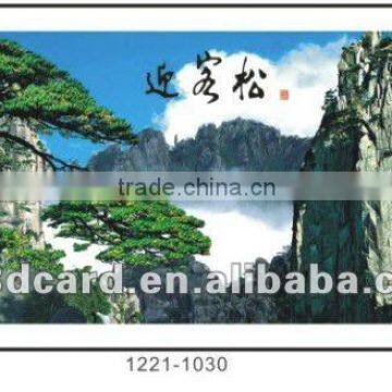 China originator 3d Miniature Framed Picture 3d poster 1280*70cm
