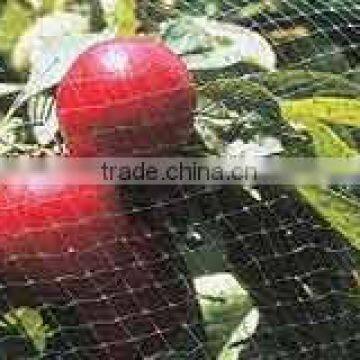 Factory UV stabilised agriculture anti bird net/Fruit cage net