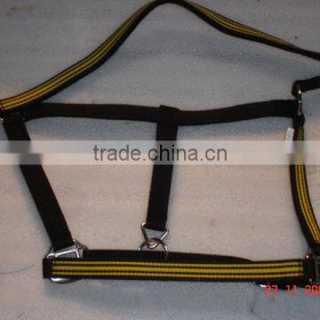 Horse halter