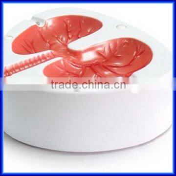 Novelty Quit Smoking/smoke absorbing ashtray/funny quit smoking ashtray