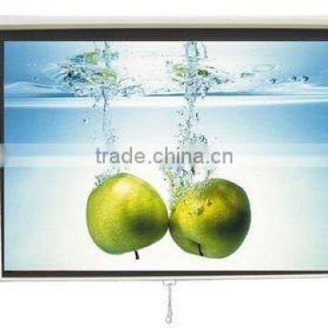 PROJECTION SCREEN