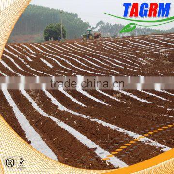 Cost-effetive Combine Sugarcane Machine for 2 Rows Seed Planting Factory Manufacturing Sugarcane Planter for Sale