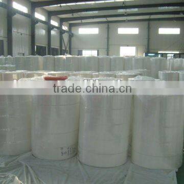 Spunlace Nonwoven Fabric