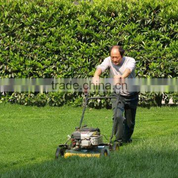 24v Rechargeable UPS BP Series AGM 12v 200ah Battery photo-4