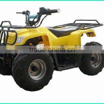 800w electric ATV electric quad(XW-EA17)