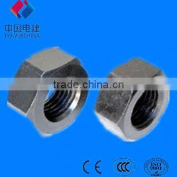 Fastener / High strength nuts / Hex Nut / Flange Nut /Square Nut