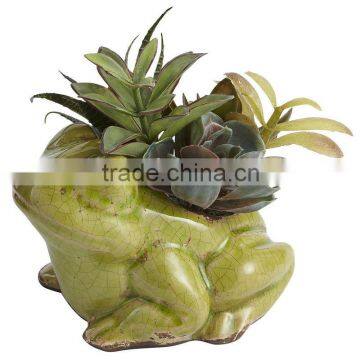 ceramic frog flower pot