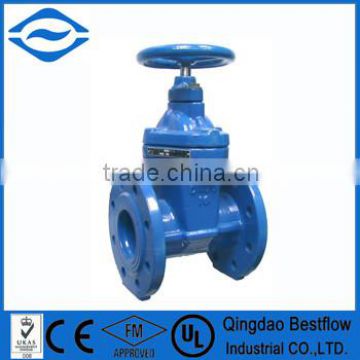 Flanged resilient seated gate valve