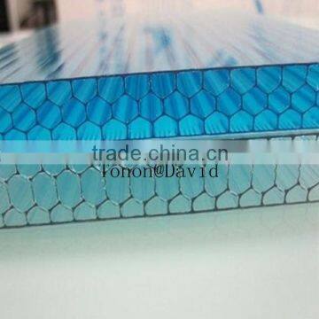 Guangdong polycarbonate sheet factory makrolon policarbonato honeycomb sheet in China (TN2704)