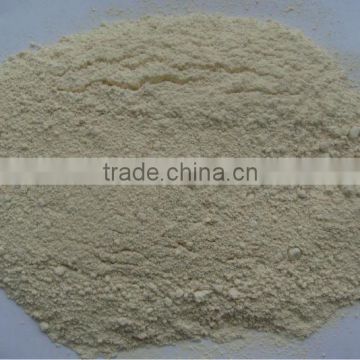 ad white onion powder