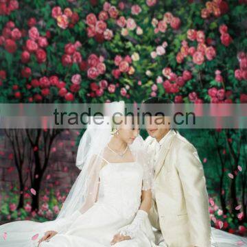 10ft x 20ft Hand Painted Photography Backdrops For Wedding,Muslin Background