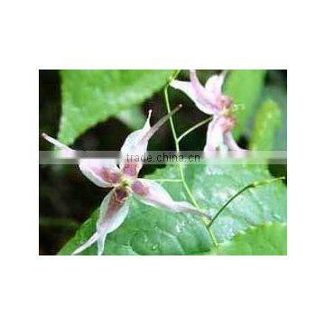 Epimedium Extract Sex Function