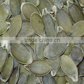 Pumpkin seeds GWS