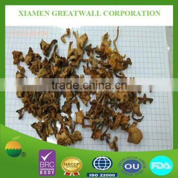 Wild dried chanterelle mushroom