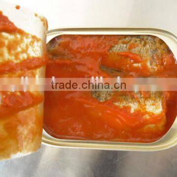 Grade A Canned Sardine in Tomato Sauce