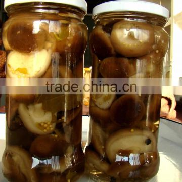 2014 crop Canned Shiitake mushroom